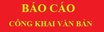 Báo cáo công bố thông tin bất thường của doanh nghiệp